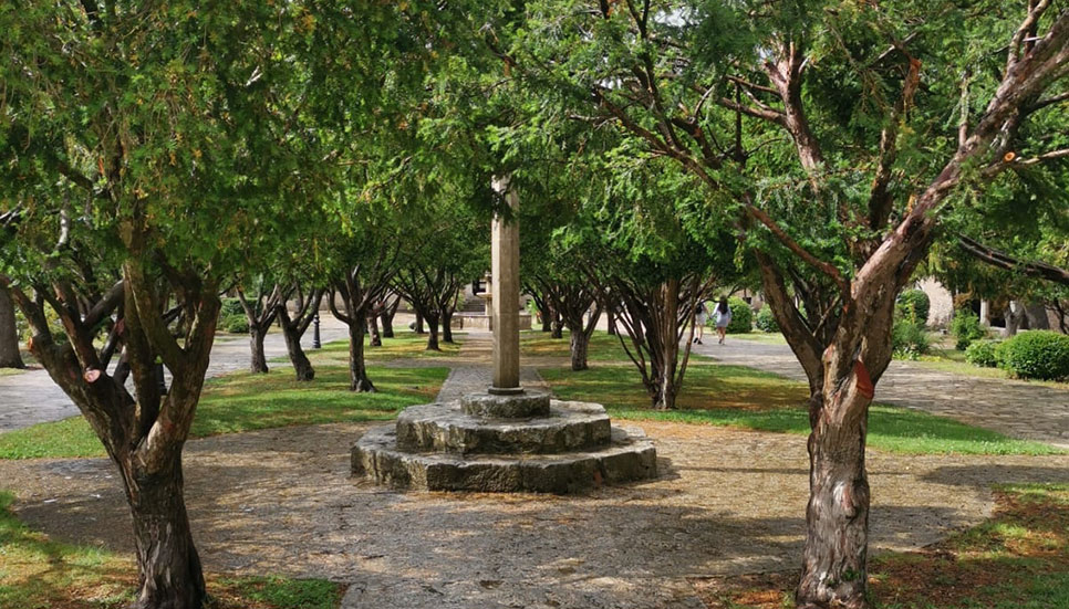 Image Slider 5